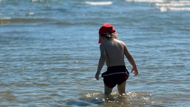 A small blond child, seen from behind, wearing a red cap, walking alone into the sea on a sunny day, the water up to his calves.