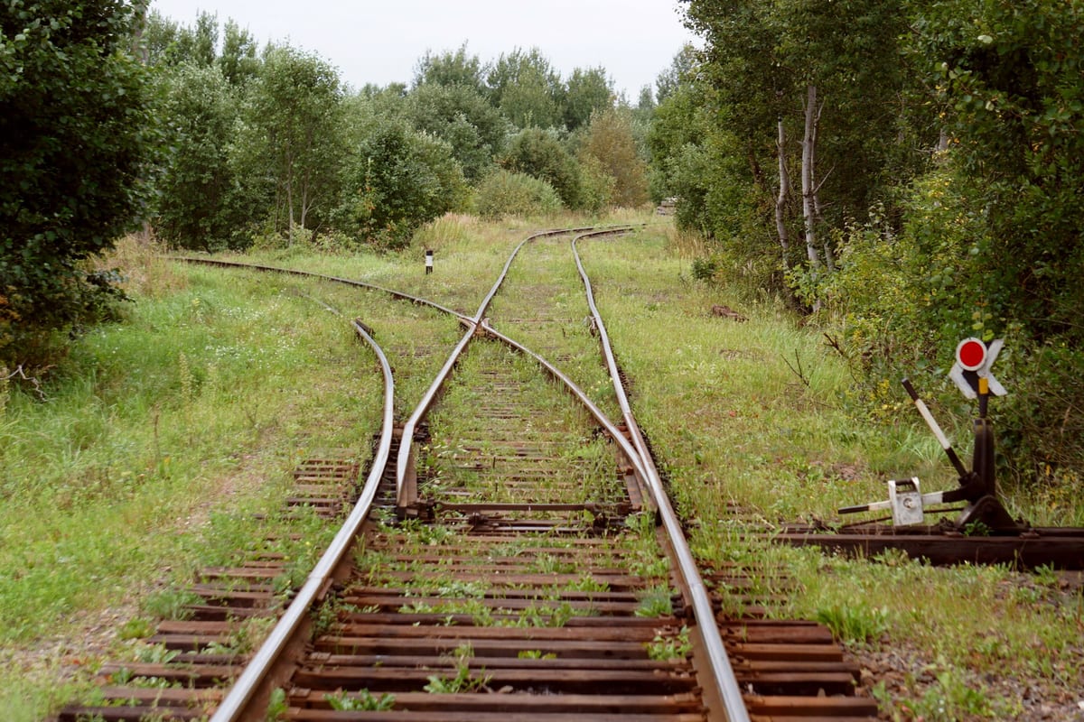 Uno scambio ferroviario in mezzo alla vegetazione: due binari arrugginiti si separano davanti all'osservatore, uno prosegue dritto e l'altro curva a sinistra fra gli alberi. A destra, la leva manuale dello scambio con il disco rosso del segnale.